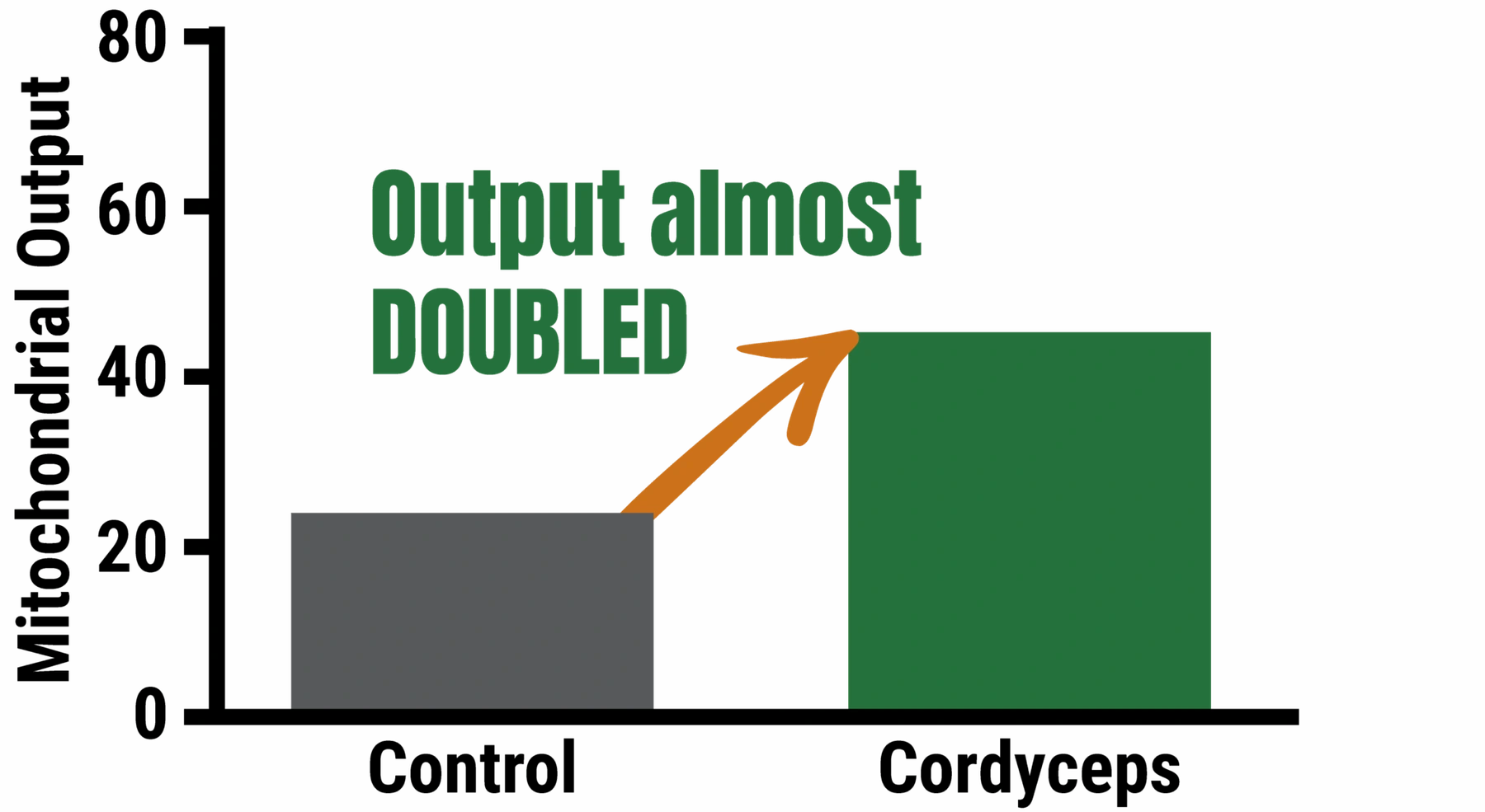 Illustrative chart of how researchers compare cellular output for functional mushrooms