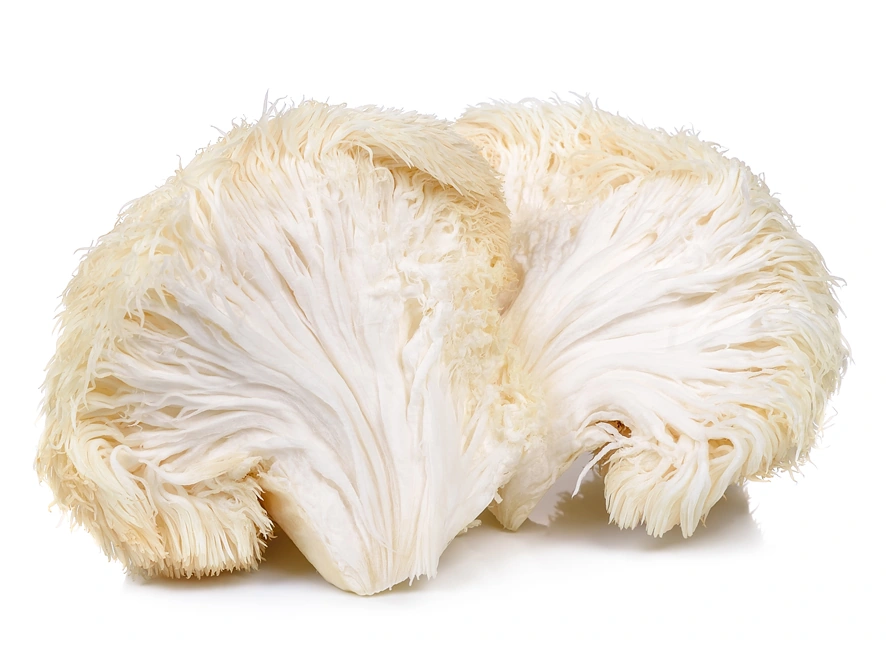 Lion's mane mushroom, the headline active in Myco Max