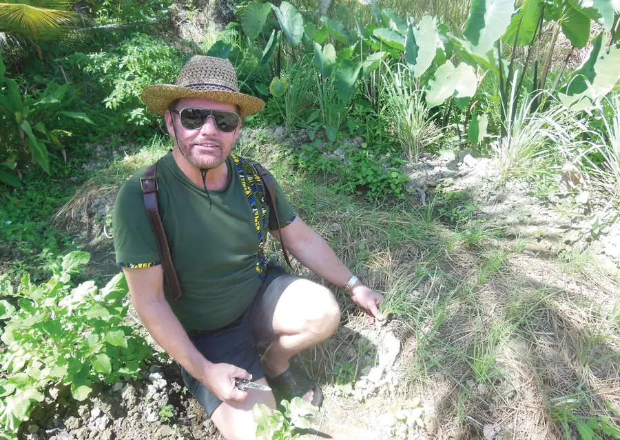 Active man outdoors on a nature trail where functional mushrooms are sourced